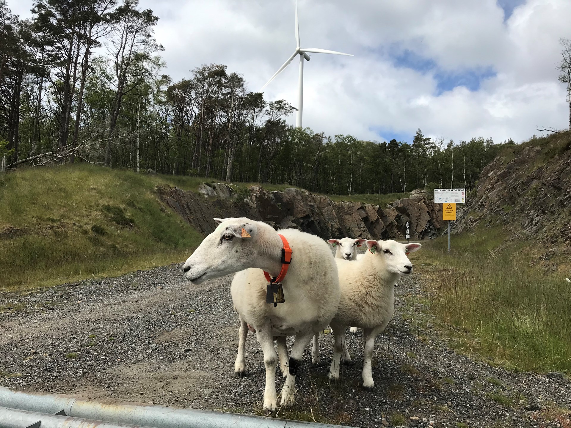 Lista Vindpark Sauer